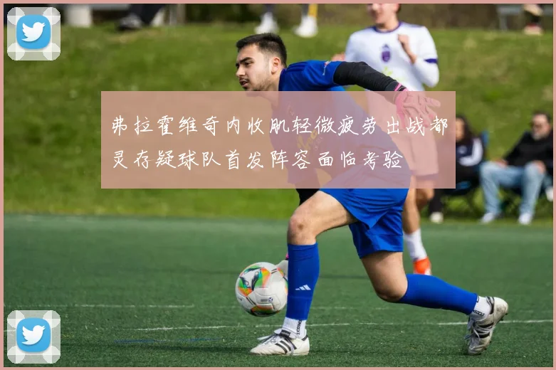 弗拉霍维奇内收肌轻微疲劳出战都灵存疑球队首发阵容面临考验